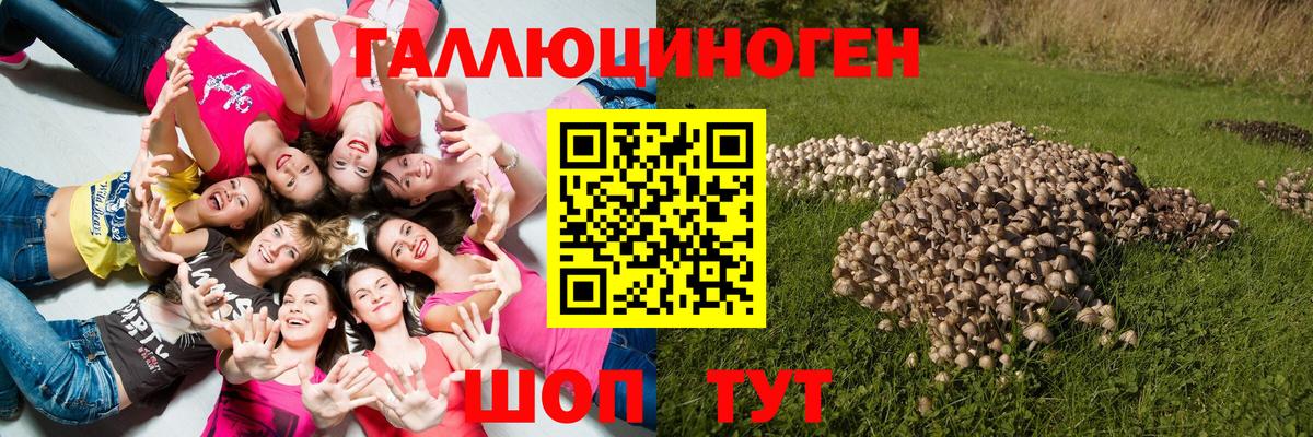 Галлюциногенные грибы GOLDEN TEACHER  Вход с VPN  Ипатово 